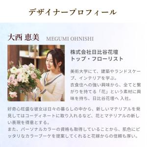 無料のし(シール) 公式 お中元 クレベリン×...の詳細画像3