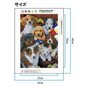 ダイヤモンドアート 初心者 アニマル 動物 猫...の詳細画像4
