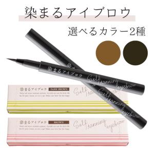 染まるアイブロウ ブラウン / ダークブラウン ...の商品画像