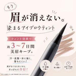 染まるアイブロウ ブラウン / ダークブラウン...の詳細画像1