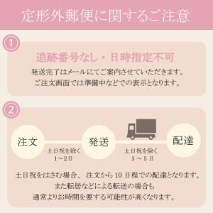 FEATHER エフシステム替刃 ブレイド2 ...の詳細画像1
