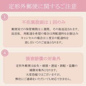 FEATHER エフシステム替刃 ブレイド2 ...の詳細画像2