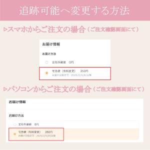 FEATHER エフシステム替刃 ブレイド2 ...の詳細画像4
