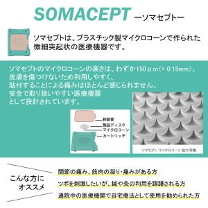 【選べる2種類】 東洋レヂン 〈ソマセプト L...の詳細画像1