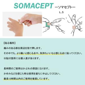 【選べる2種類】 東洋レヂン 〈ソマセプト L...の詳細画像2