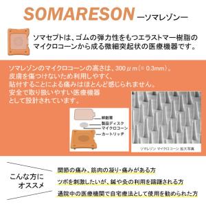 【選べる2種類】 東洋レヂン 〈ソマセプト L...の詳細画像3
