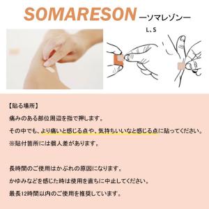 【選べる2種類】 東洋レヂン 〈ソマセプト L...の詳細画像4