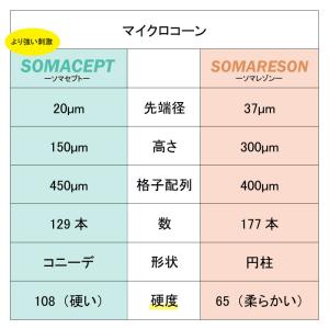 【選べる2種類】 東洋レヂン 〈ソマセプト L...の詳細画像5