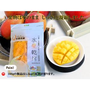 【100g×2袋！】台南マンゴー名産地：玉井ドライマンゴー　100％無添加、無砂糖