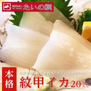 イカ 紋甲 いか 寿司 刺身 新鮮 口の中に広がる 甘味