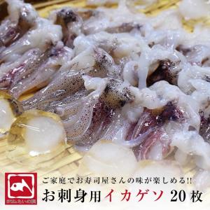 イカゲソ お刺身 いかげそ 寿司ネタ用 寿司 おつまみ　海鮮丼