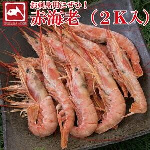 エビ 赤エビ 2kg バーベキュー 刺身用 有頭 アルゼンチン産 赤海老 L３ 寿司 生食 業務用 ...