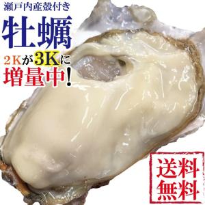 冷凍カキ かき 牡蠣 兵庫播磨灘産 播磨カキ3kg前後 鍋