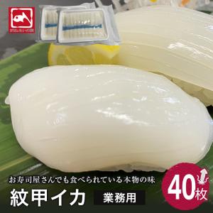 甲イカ 20枚 2パック 甲いか 寿司 刺身 新鮮 鮮度抜群