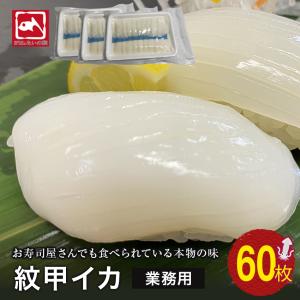 甲イカ 20枚×3パック 甲いか 寿司 刺身 新鮮 鮮度抜群