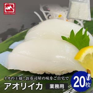 イカの王様 アオリイカ いか 刺身用 あおりいか みずいか