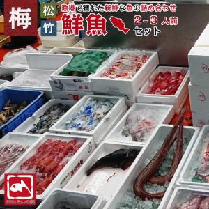 朝獲れ鮮魚お試しセット 2-4人前 とれたて新鮮魚介 魚の詰め合わせ 下処理可能 産地直送 海鮮 セット【北海道・沖縄・離島へ出荷不可】