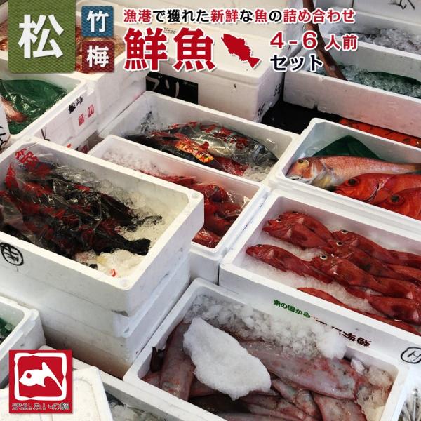 朝獲れ鮮魚お試しセット 松 4-6人前 とれたて新鮮魚介 魚の詰め合わせ 下処理可能 産地直送 海鮮...