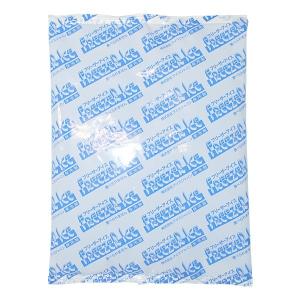 アイスジャパン 業務用 保冷剤 R-1000 [15個入] レギュラーサイズ