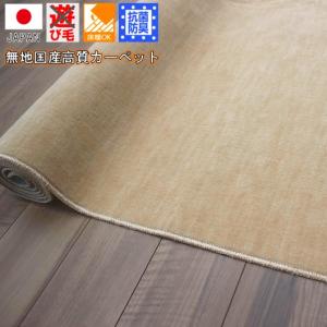 日本製 カーペット 6畳 絨毯 じゅうたん 抗菌...の商品画像