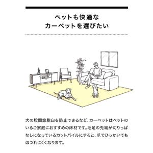 日本製 カーペット 6畳 絨毯 じゅうたん 抗...の詳細画像5