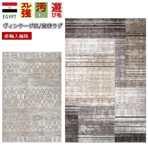 ラグ 6畳 カーペット ラグマット じゅうたん 絨毯 ウィルトン 厚手 ベルギー アンティーク KNY (DAVINCI57142) 240×340cm｜tairyo