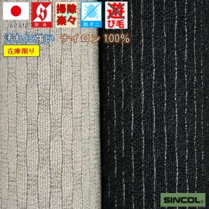 カーペット はっ水 撥水 6畳 六畳 絨毯 じゅうたん ラグ 防汚 防炎 当社在庫 (廃番ニューウェーブ6畳) 江戸間 6畳 261×352cm