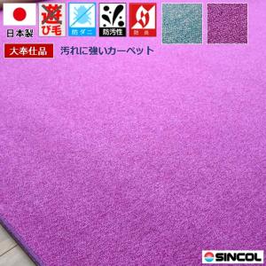 びっくり価格 カーペット 6畳 六畳 はっ水 絨毯 じゅうたん ナイロン100％ 江戸間 抗菌 防ダニ 当社在庫 (廃番特価ミール6畳) 江戸間 6畳 261×352cm