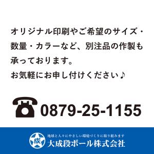 板ダンボール 10枚セット 5mm厚 1080...の詳細画像2