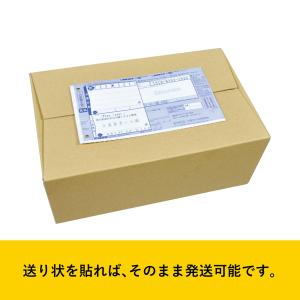 ダンボール 60サイズ テープ不要 段ボール ...の詳細画像3