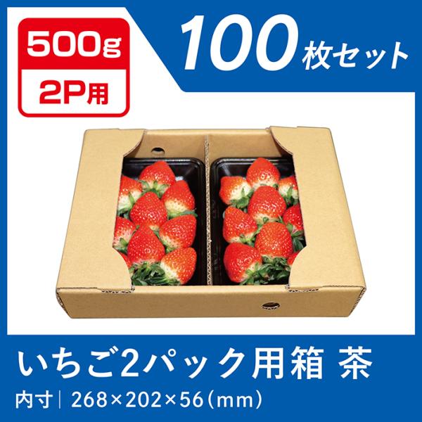 いちご ダンボール 箱 250g×2パック 500g用 苺 ケース 段ボール 梱包 出荷 茶 100...