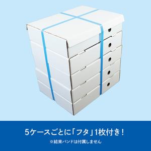 いちご ダンボール 箱 250g×2パック 5...の詳細画像3