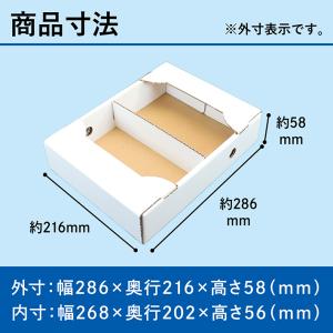 いちご ダンボール 箱 250g×2パック 5...の詳細画像4