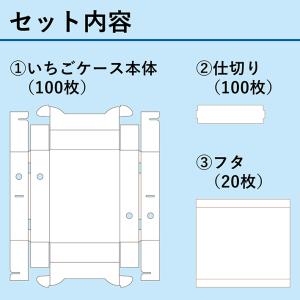 いちご ダンボール 箱 250g×2パック 5...の詳細画像5
