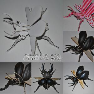 工作キット クワガタムシ 5個 段ボール クワガ...の商品画像