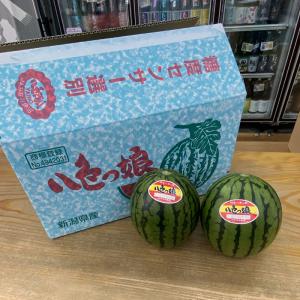 八色スイカ 小玉 八色っ娘 秀品 2個入 新潟県南魚沼産 すいか : 新潟の