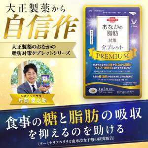公式 大正製薬 おなかの脂肪対策タブレットPR...の詳細画像2