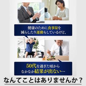 公式 大正製薬 おなかの脂肪対策タブレットPR...の詳細画像3