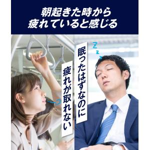 公式 大正製薬 リポビタンDX 270錠 6個の詳細画像3