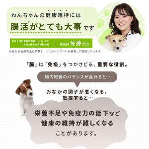 公式 大正製薬 わん ビオフェルミンS 40g...の詳細画像3