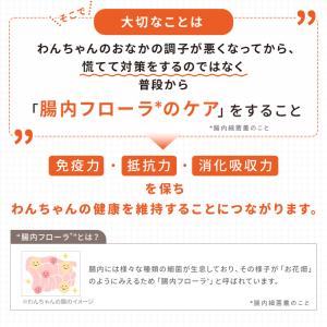 公式 大正製薬 わん ビオフェルミンS 40g...の詳細画像4
