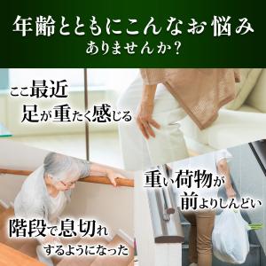 公式 大正製薬 リポビタンDX M 90錠 タ...の詳細画像3