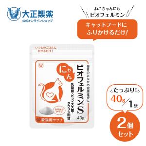ビオフェルミンS 40g 愛犬用サプリメント　2個セット 大正製薬 公式 わん ビオフェルミンS 40g 2袋 サプリ 犬