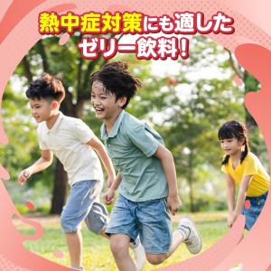 【20%OFFクーポン】 熱中症 公式 大正製...の詳細画像4