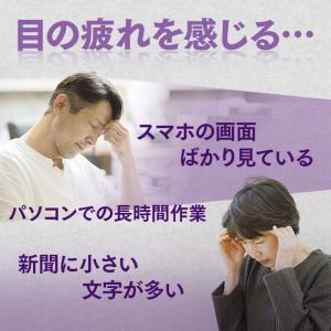 大正製薬 大正ブルーベリーヒトミクリア 機能性...の詳細画像2