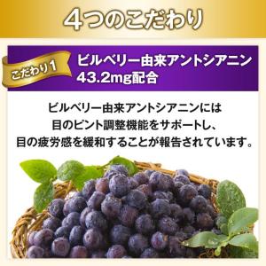 大正製薬 大正ブルーベリーヒトミクリア 機能性...の詳細画像4