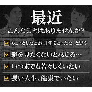 公式 大正セサミン 60粒 2個セット 大正製...の詳細画像2