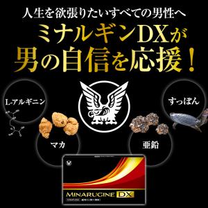 公式 大正製薬 ミナルギンDX 30袋 3箱 ...の詳細画像2