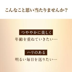 公式 大正製薬 ローヤルゼリー プラセンタ 5...の詳細画像2