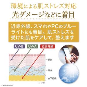 公式 大正製薬 トリニティーライン 薬用ホワイ...の詳細画像5